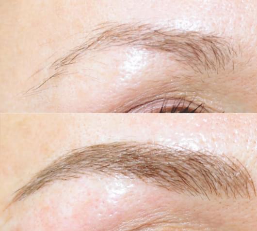 Brows Beginner