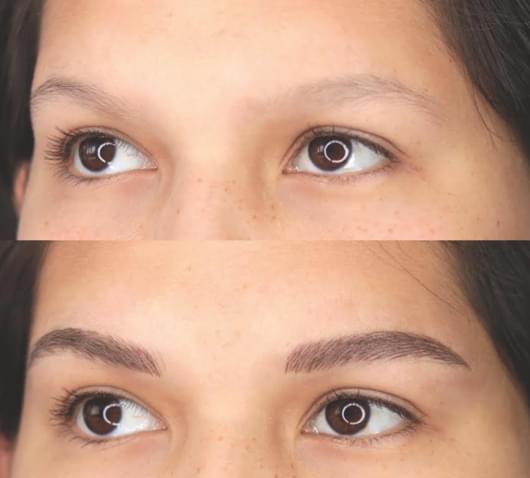 Advanced Realistic Brows Continued Education